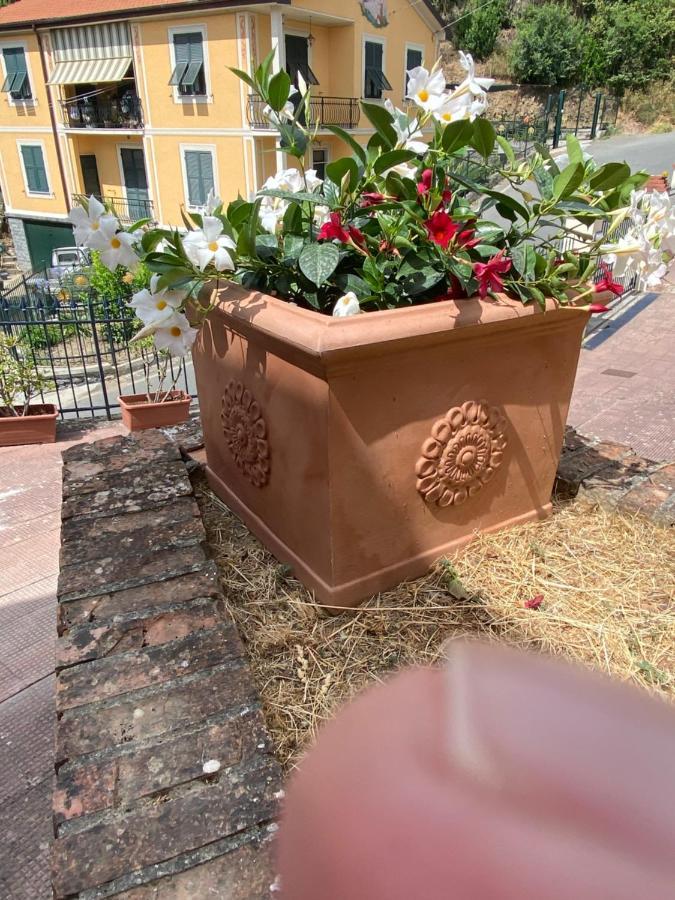 Villa Fieschi Cogorno 외부 사진